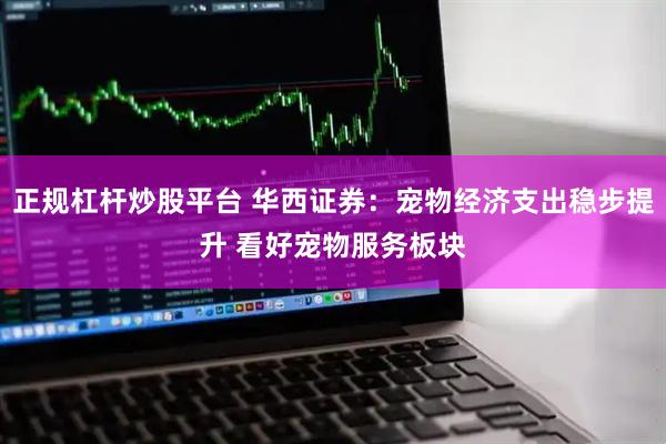 正规杠杆炒股平台 华西证券：宠物经济支出稳步提升 看好宠物服务板块